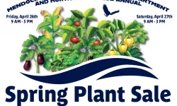 Spring Plant Sale 2024