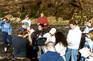 Marine biology class in the tide pools Marine biology class in the tide pools