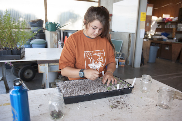 girl planting seeds