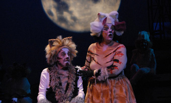 Mendocino College Production of Cats