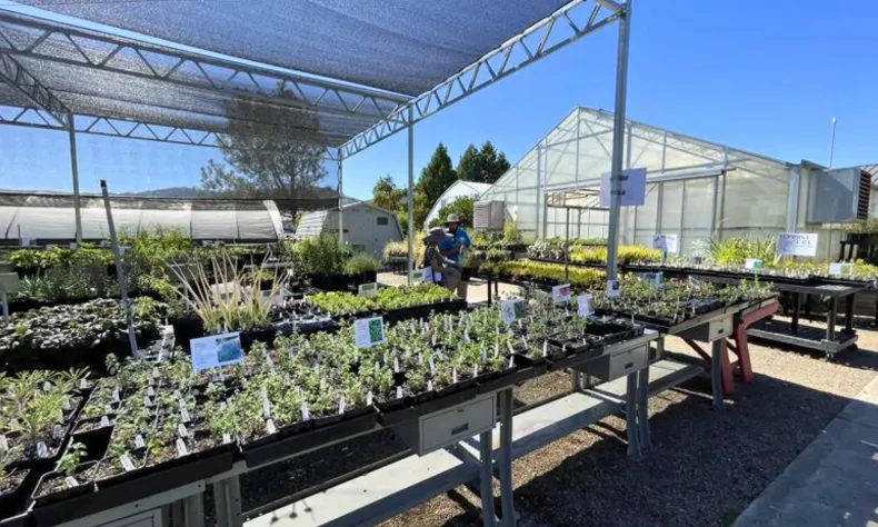 Agriculture department greenhouses and plants