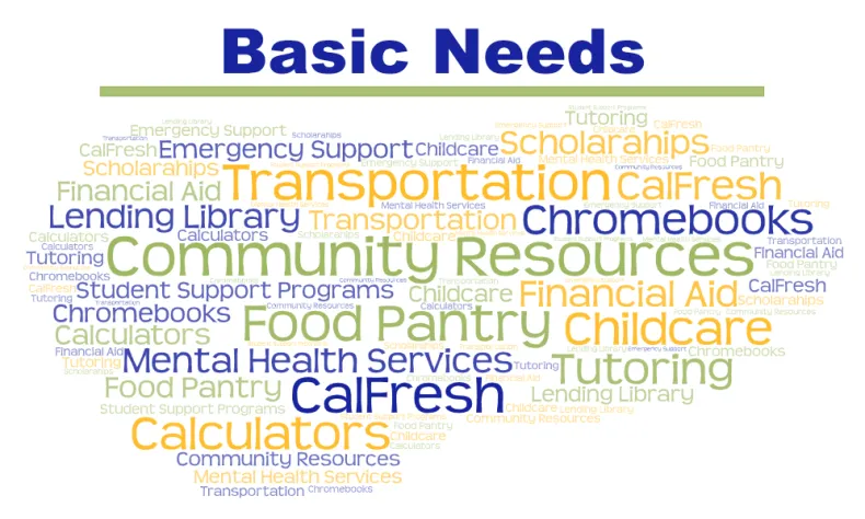 basic needs