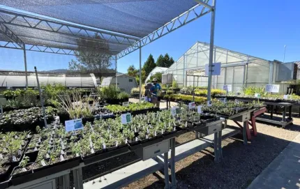 Agriculture department greenhouses and plants