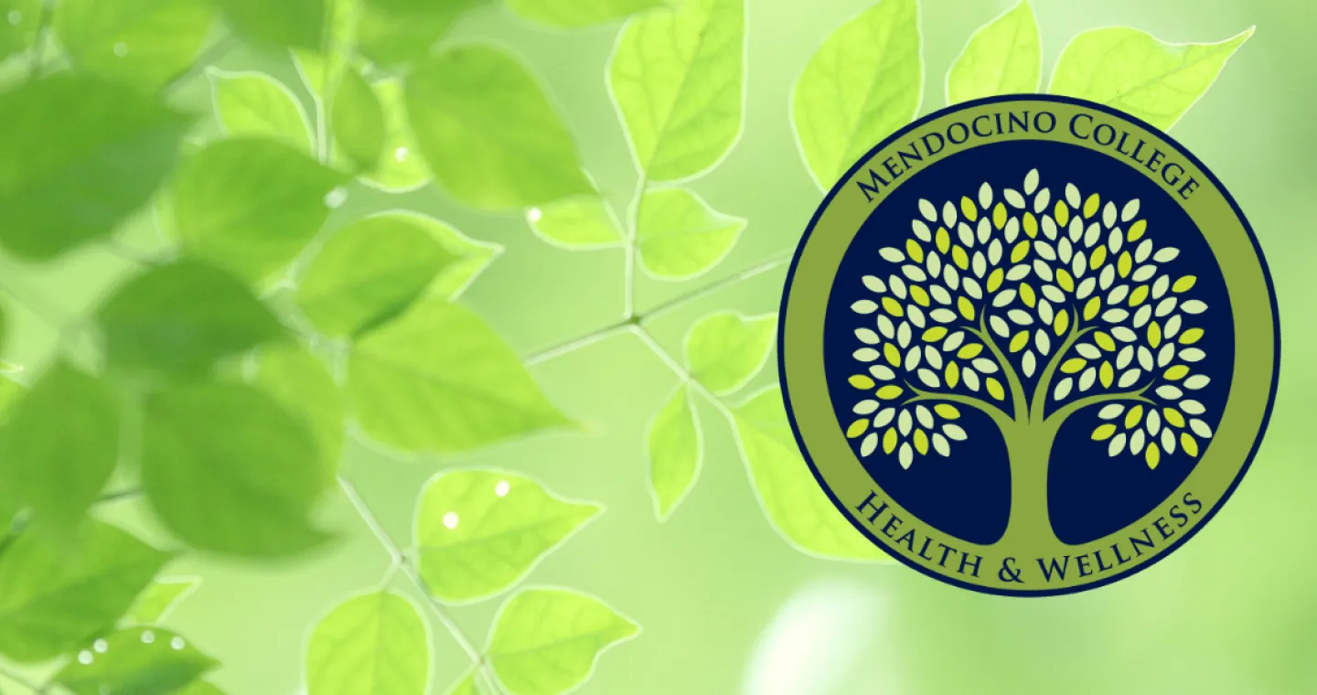 Wellness image of a tree