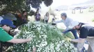 Students picking flowers