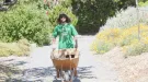 Man pushing wheelbarrow