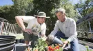 Two men looking at plant roots