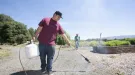 Man spraying weeds