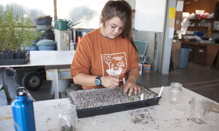 Woman Planting