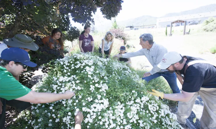 Students picking flowers