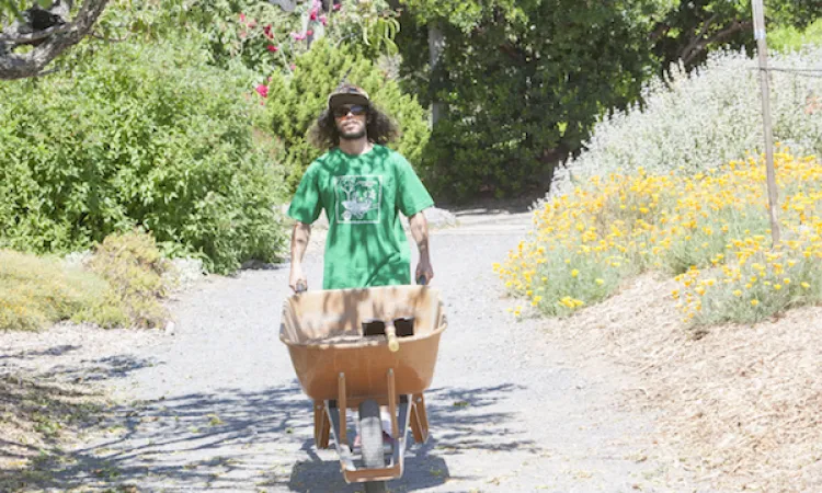 Man pushing wheelbarrow