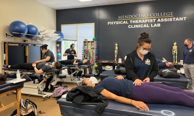 Physical Therapy STudents