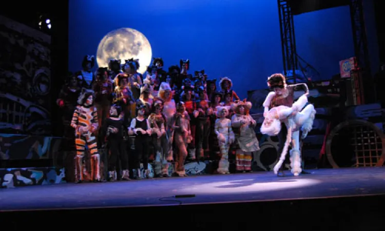 Mendocino College Production of Cats