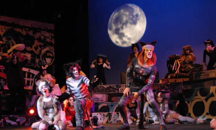 Mendocino College Production of Cats