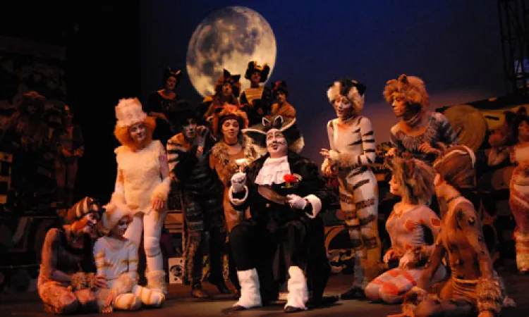 Mendocino College Production of Cats