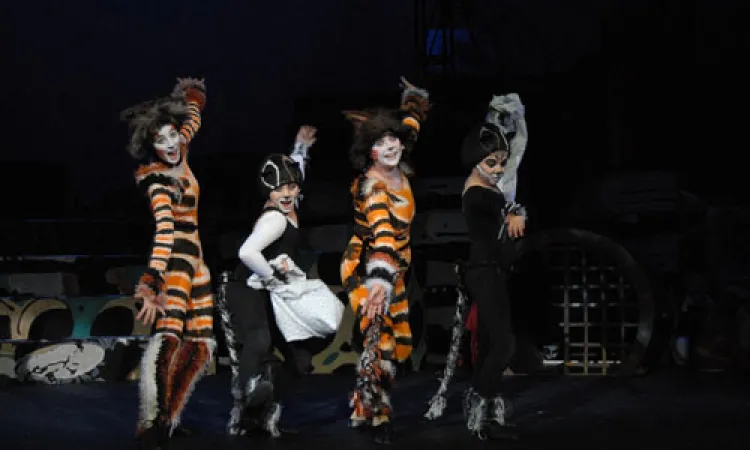 Mendocino College Production of Cats