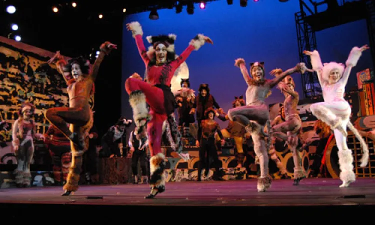 catschorusline.jpg