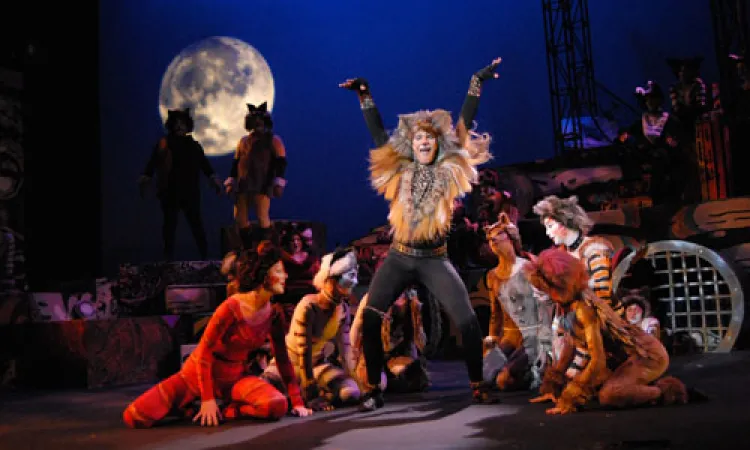 Mendocino College Production of Cats