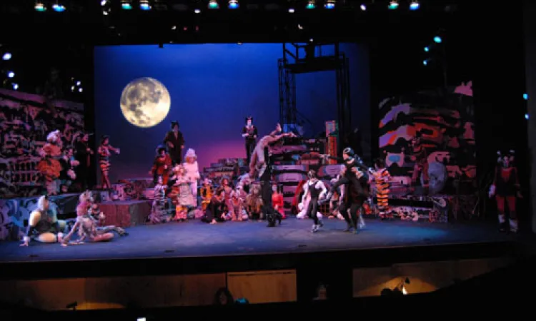 Mendocino College Production of Cats