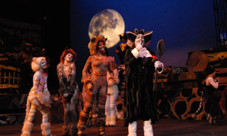 Mendocino College Production of Cats