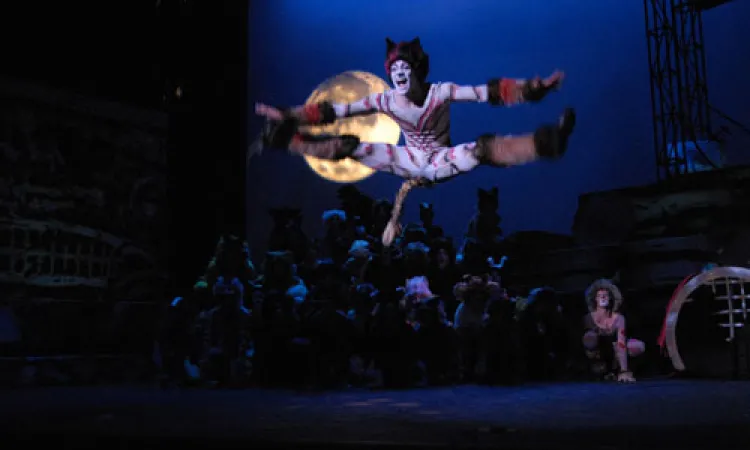 Mendocino College Production of Cats