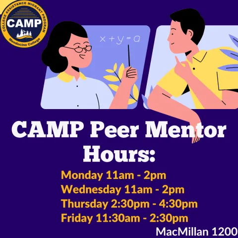 camp peer mentor flyer