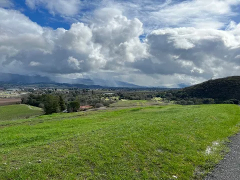 Walking Moai landscape photo