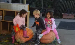 Three kids sitting on pumpkins