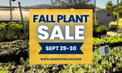 Fall Plant Sale