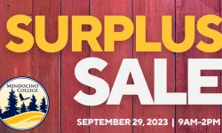 surplus sale