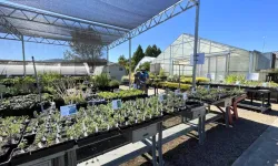 Agriculture department greenhouses and plants