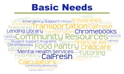 basic needs