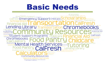 Basic Needs