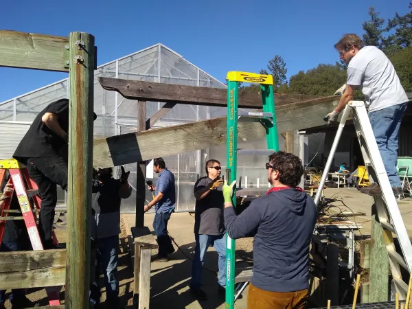 tearing down the shade structure