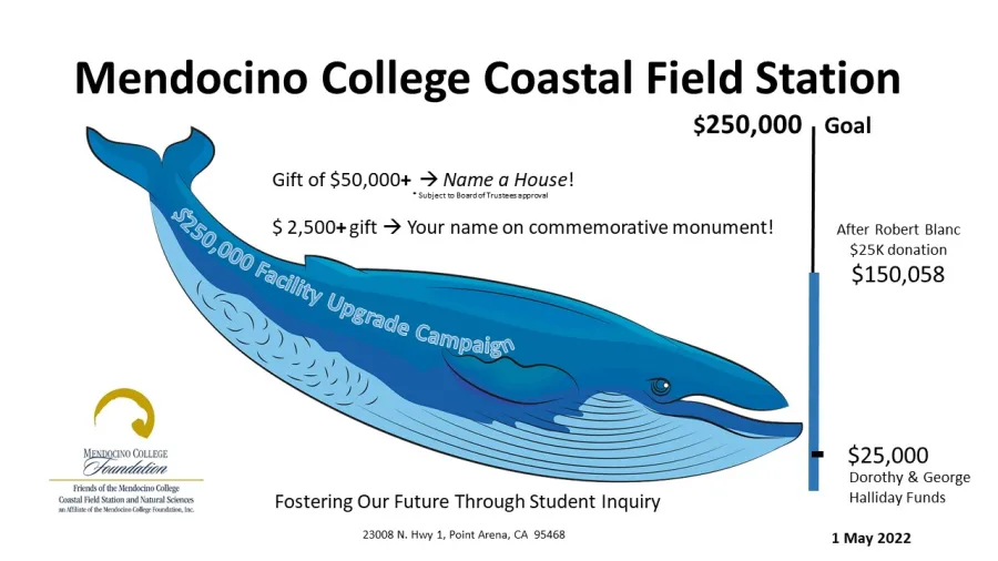 Donations summary in a whale image